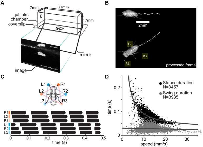 Figure 2.