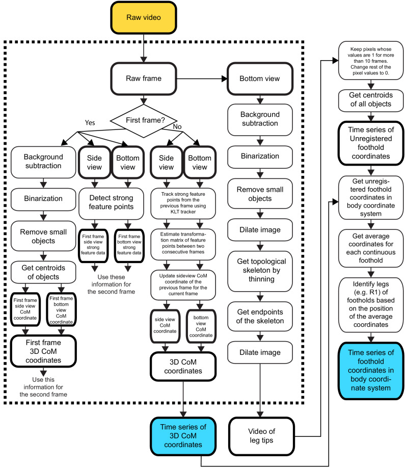 Figure 2—figure supplement 1.