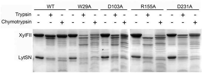 Fig. S5.