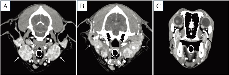 Fig. 2.