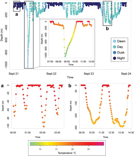 Fig. 4