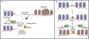 Fig 10