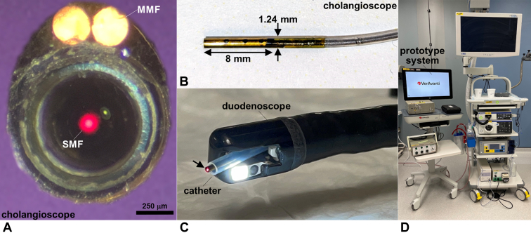 Figure 1