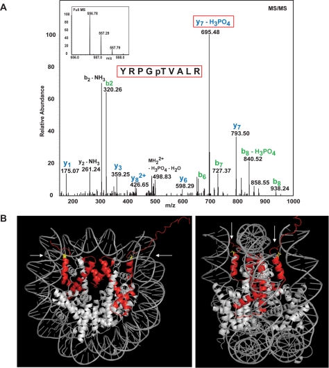 FIGURE 1.