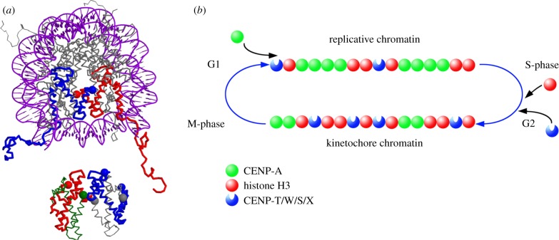 Figure 6.