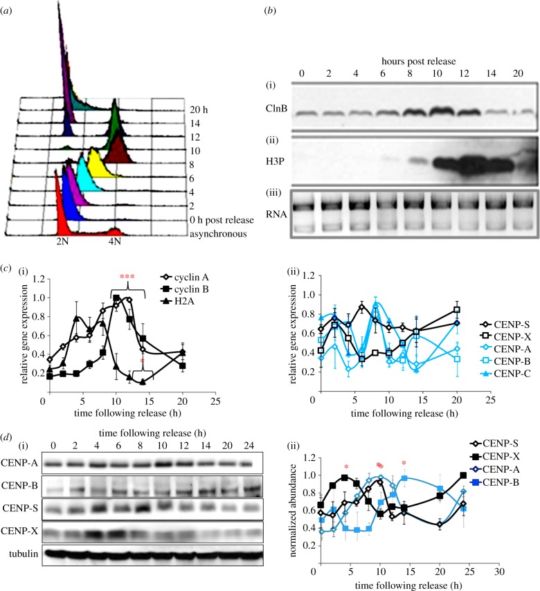 Figure 2.