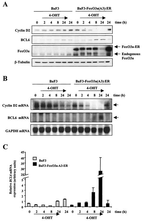 FIG. 7.