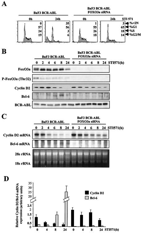 FIG. 8.