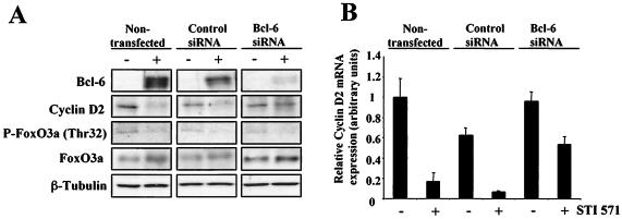 FIG. 9.