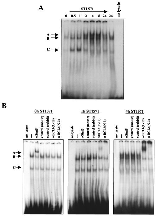 FIG. 5.