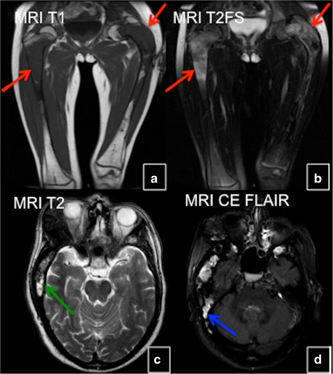 Fig. 7