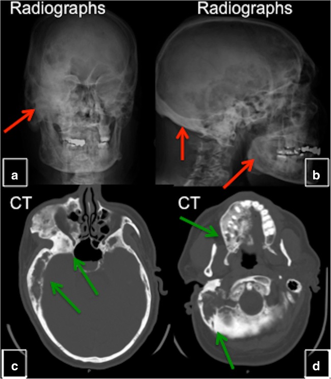 Fig. 6