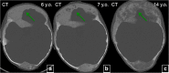 Fig. 13