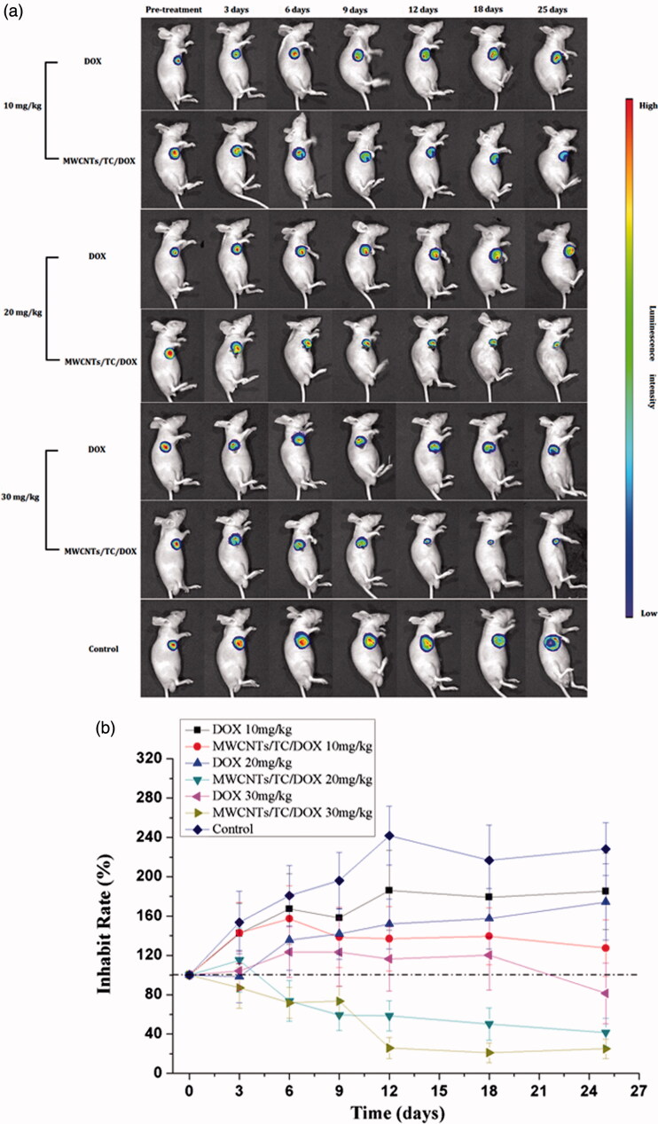 Figure 6.