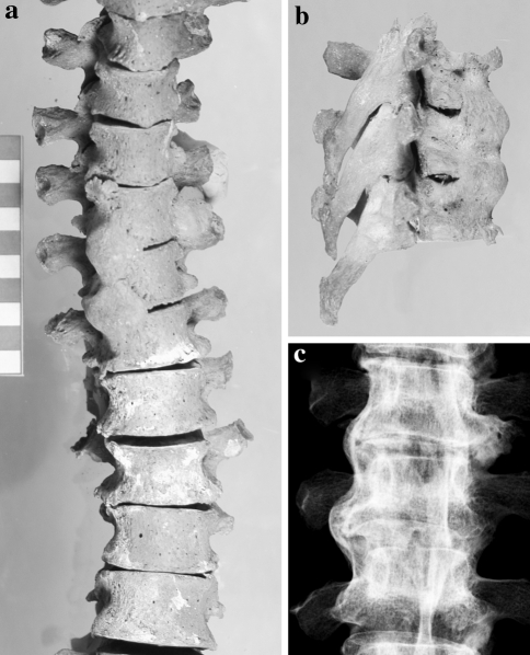 Fig. 3