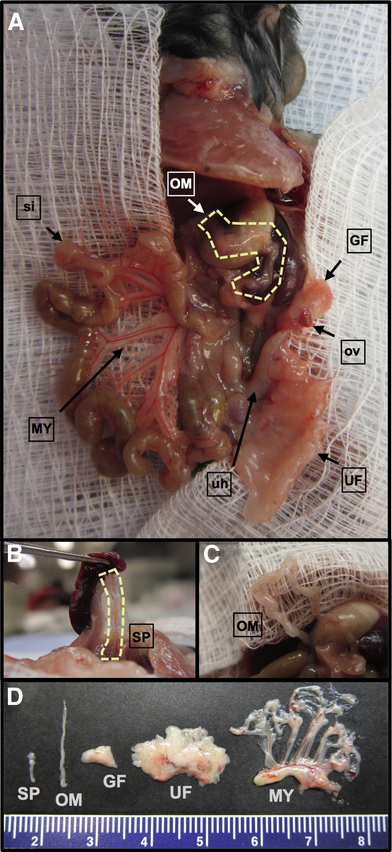 Figure 1