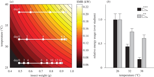 Figure 4.