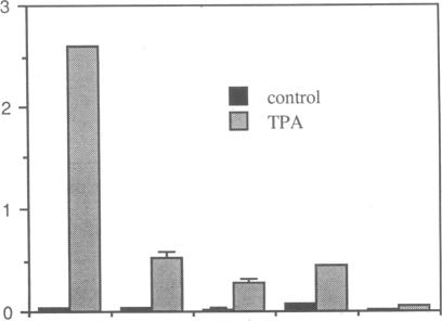 graphic file with name pnas00303-0186-b.jpg