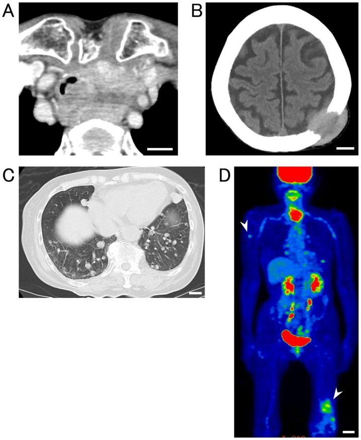 Figure 2.