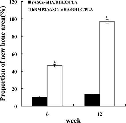 Fig. 6