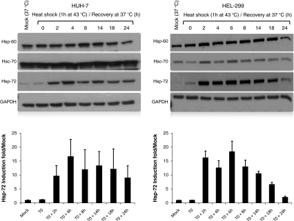 Fig. 4