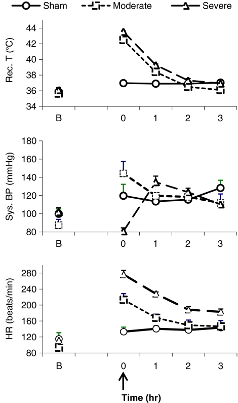 Fig. 5