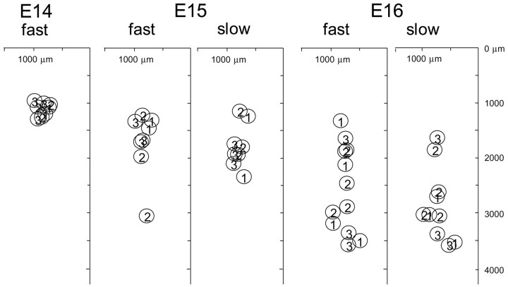 
Figure 9.
