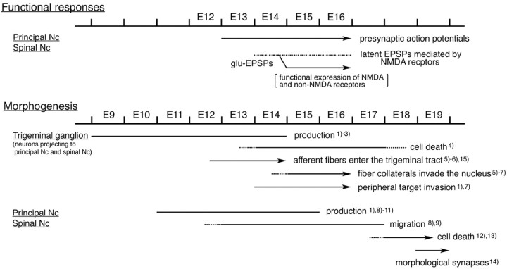 
Figure 12.
