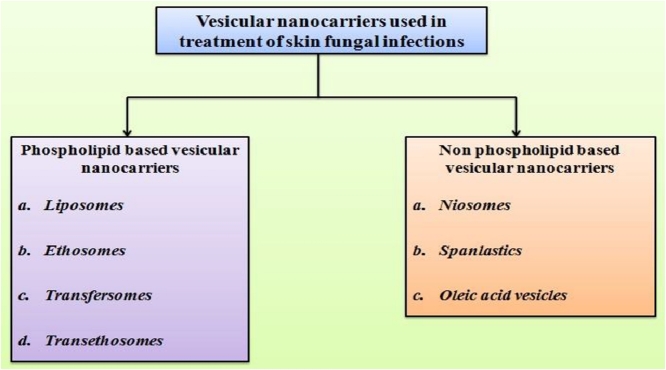 Image, graphical abstract