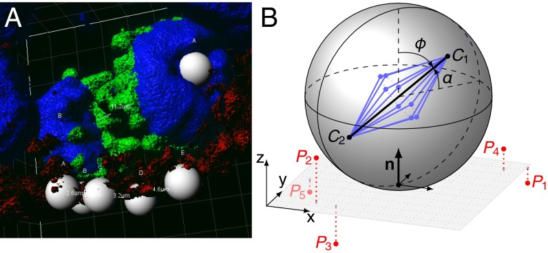 Fig. 1.