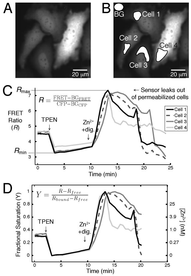 Fig. 5