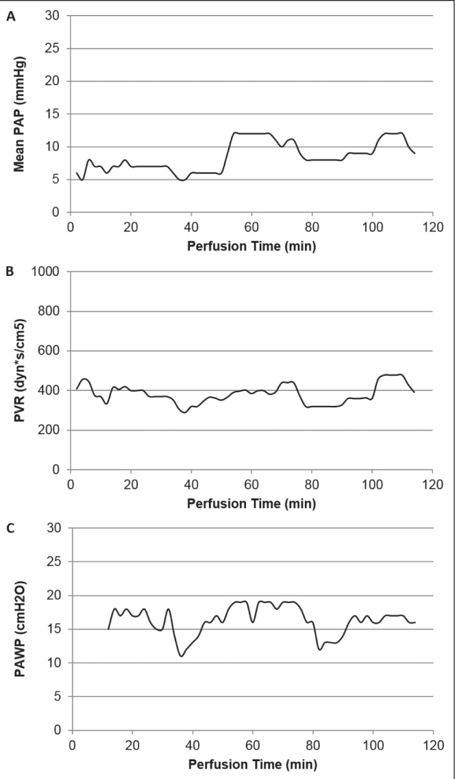 Figure 1)