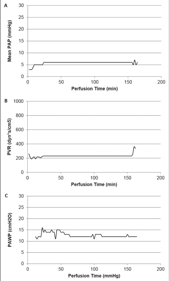 Figure 2)