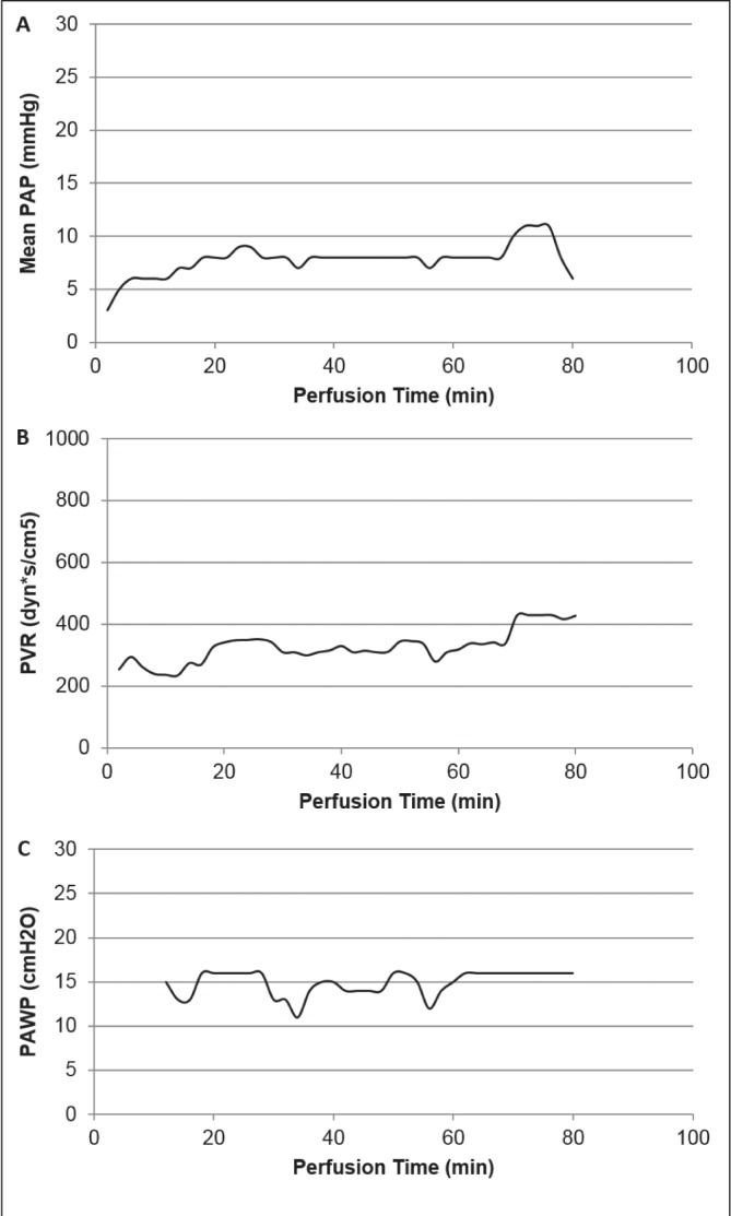 Figure 3)