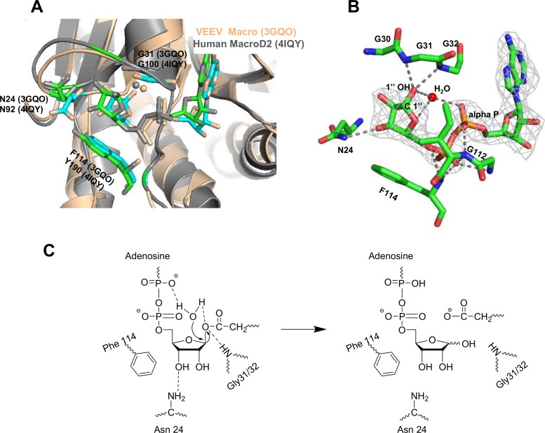 FIG 6