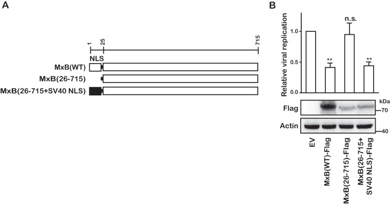 FIG 3