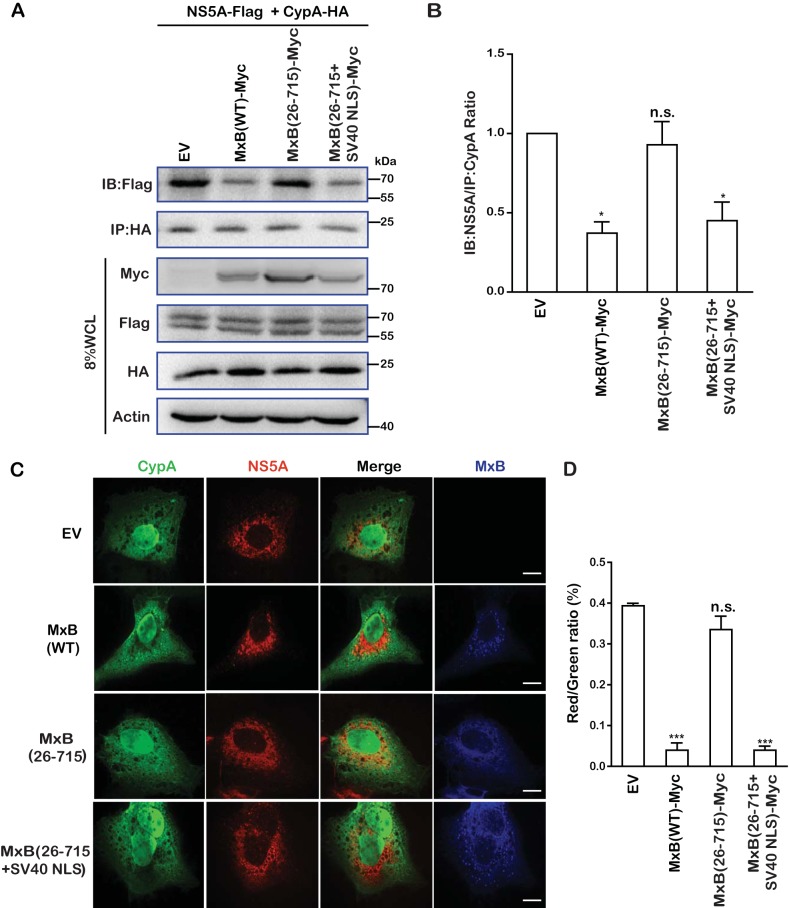 FIG 6