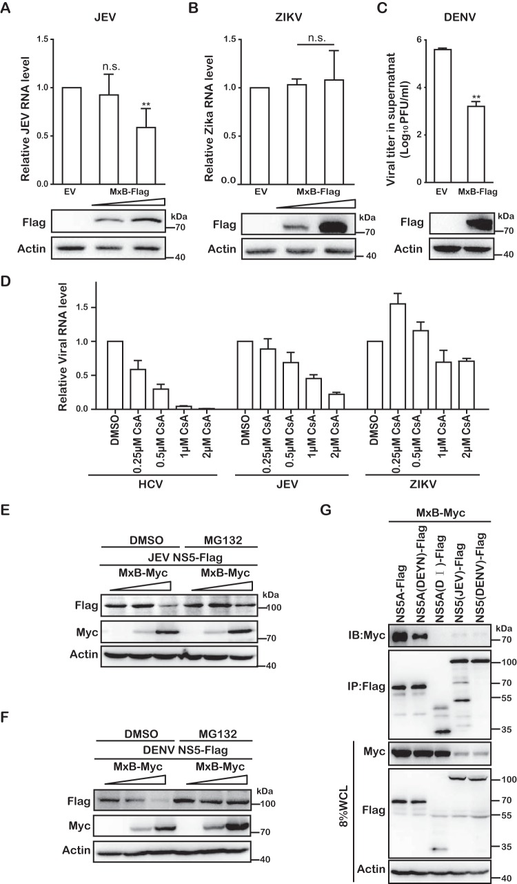 FIG 9