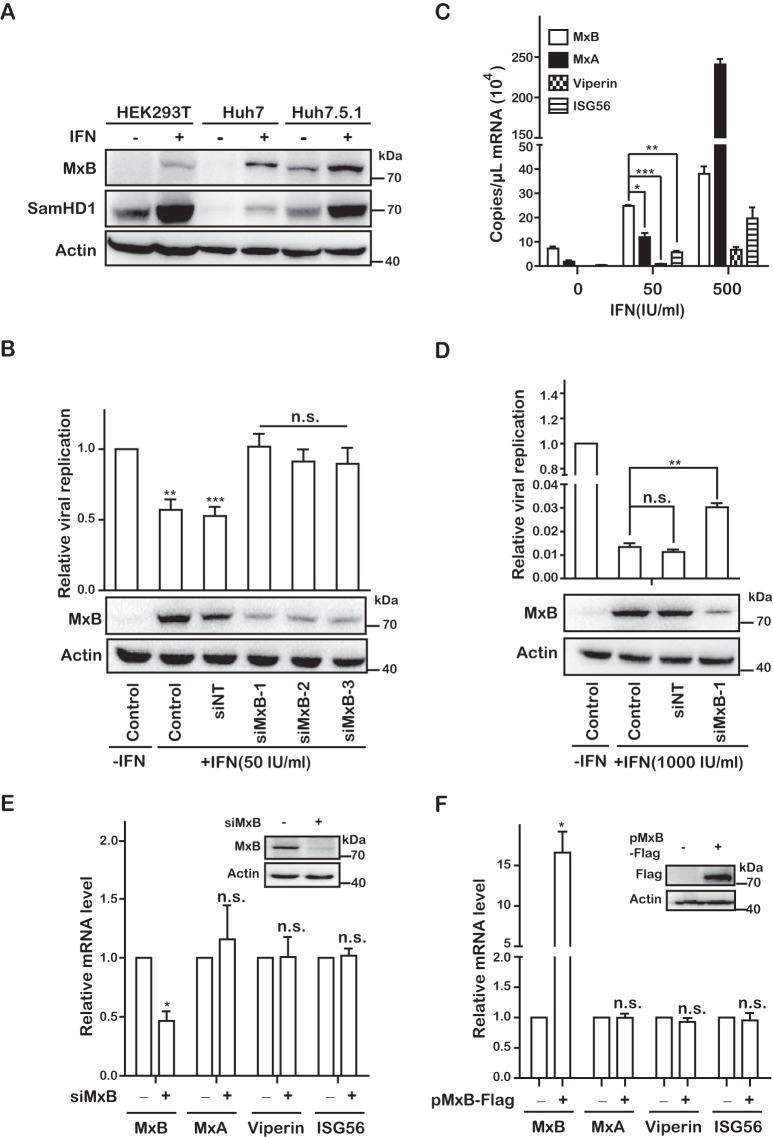 FIG 2