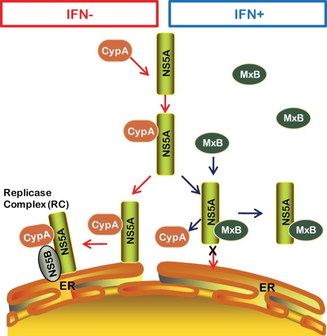 FIG 10