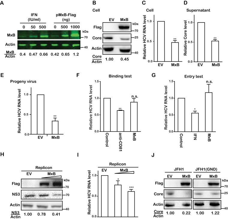 FIG 4