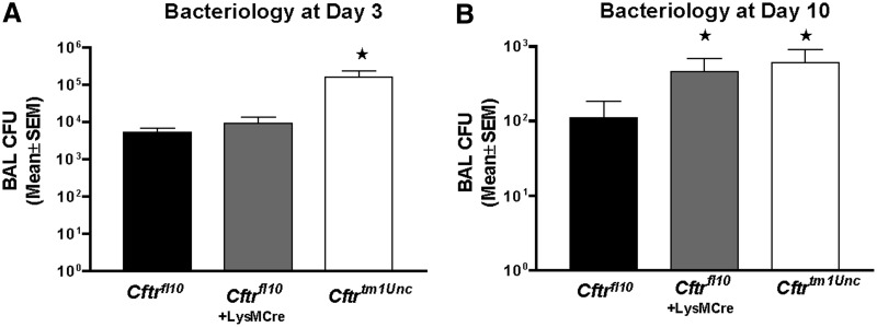 Figure 10.