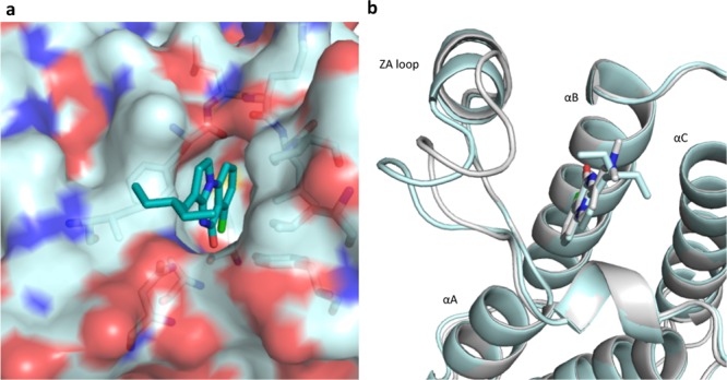 Figure 5