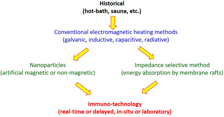 FIGURE 12