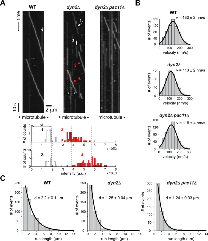 FIGURE 6: