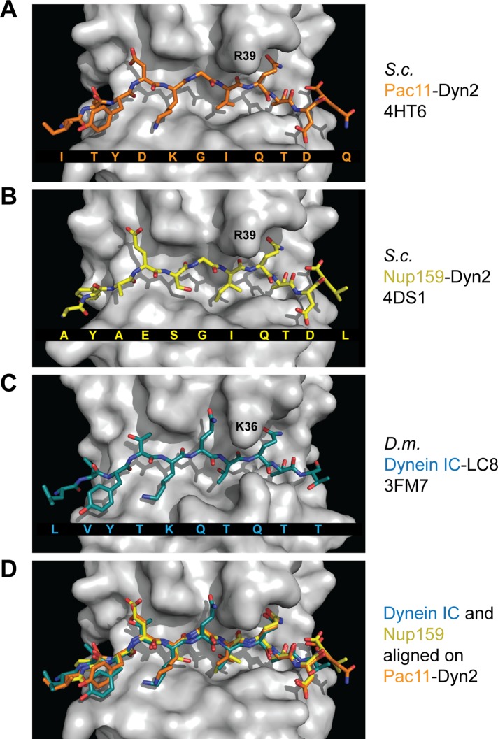 FIGURE 4: