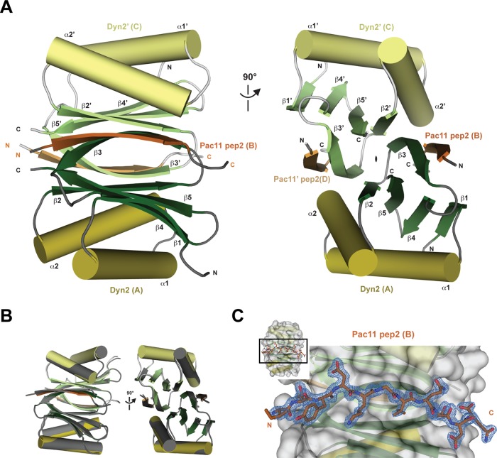 FIGURE 2: