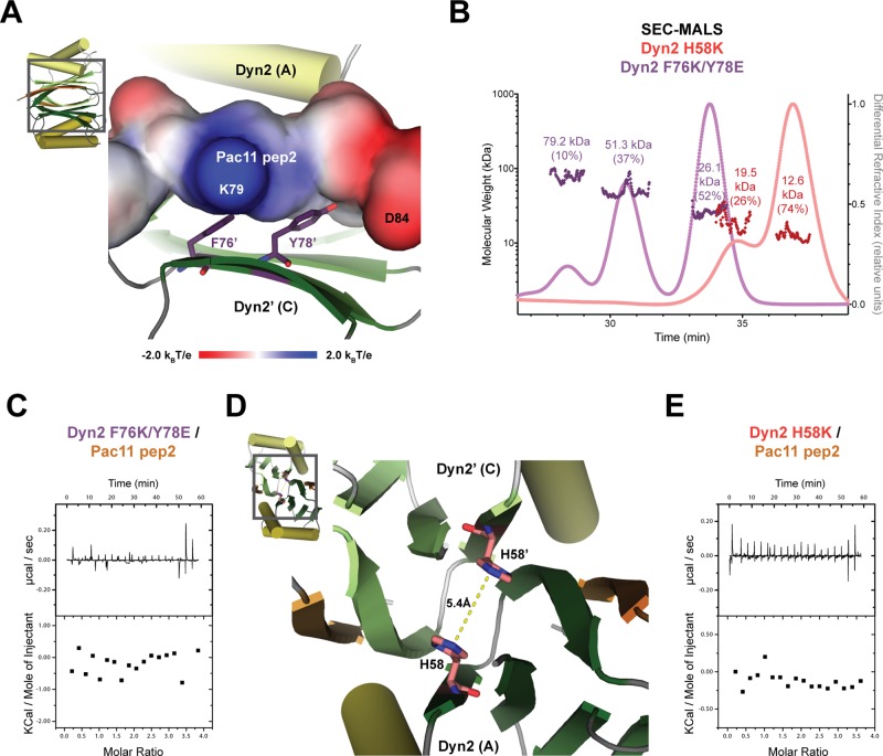 FIGURE 5: