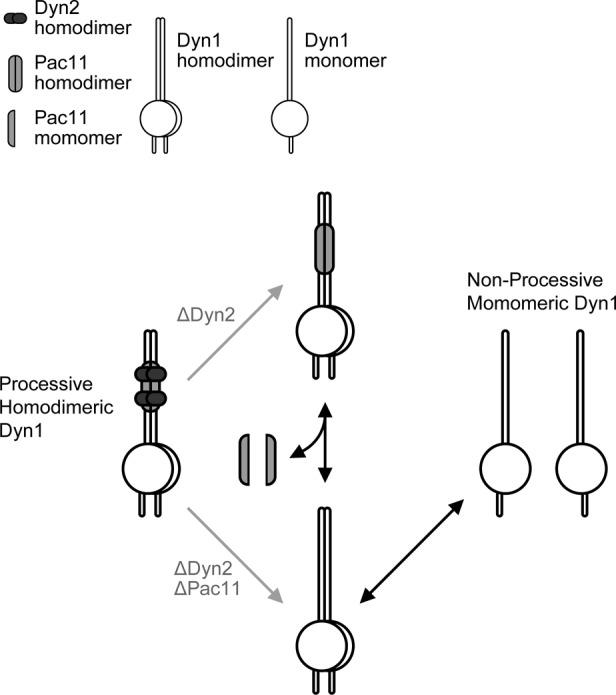 FIGURE 9: