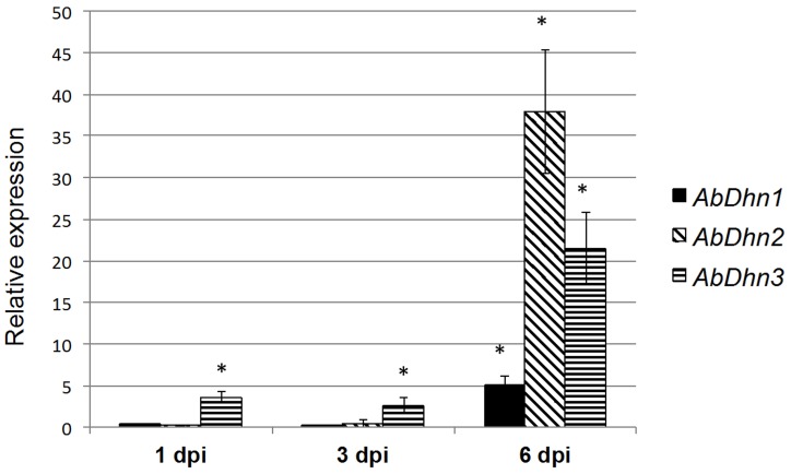 Figure 10